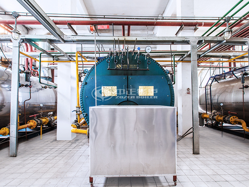 金新農飼料4噸WNS系列冷凝式燃氣鍋爐項目